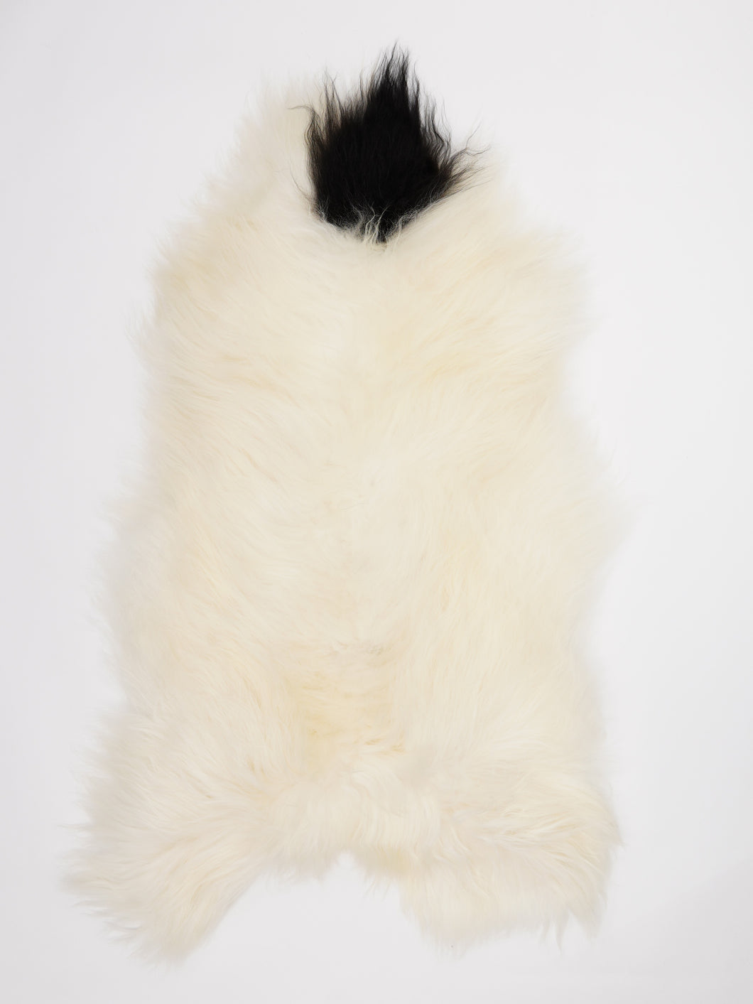 Islandiškas avikailis XL