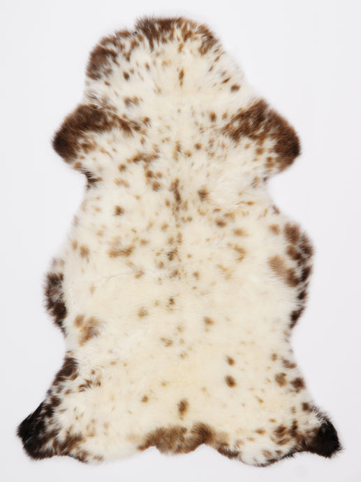 Įvairiaspalvis avikailis L