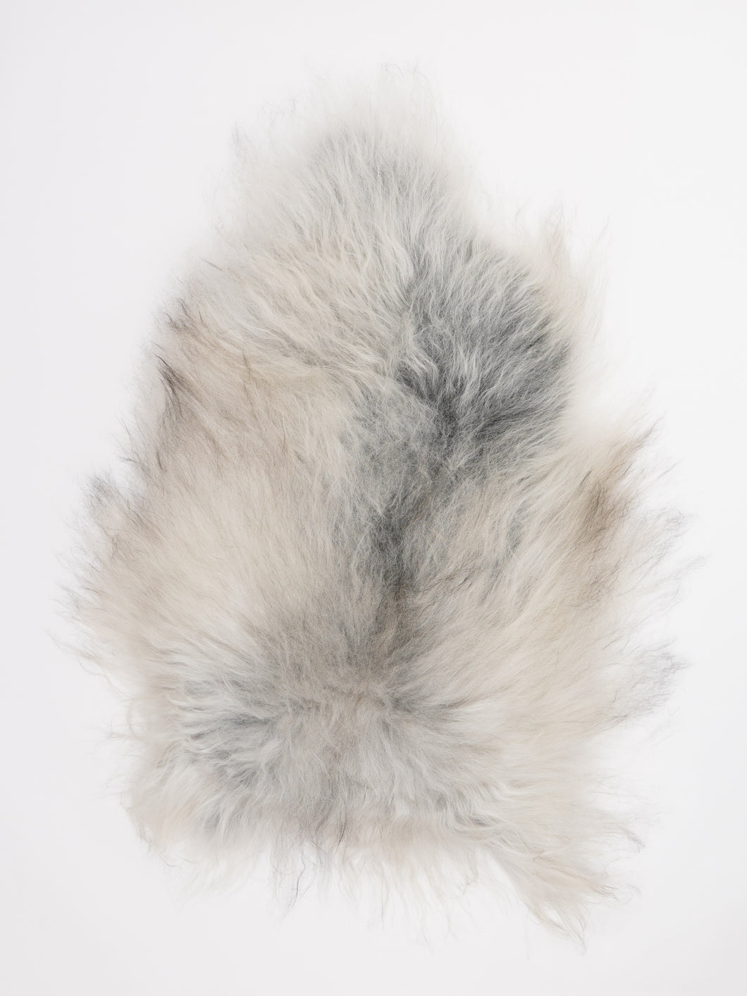 Islandiškas avikailis L