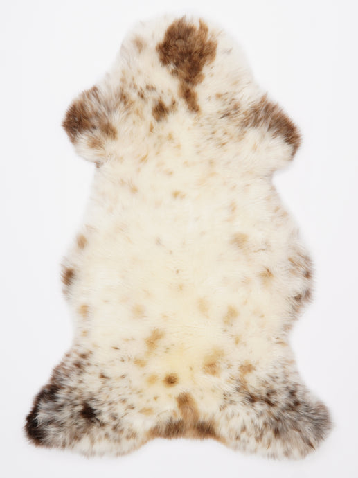 Įvairiaspalvis avikailis L