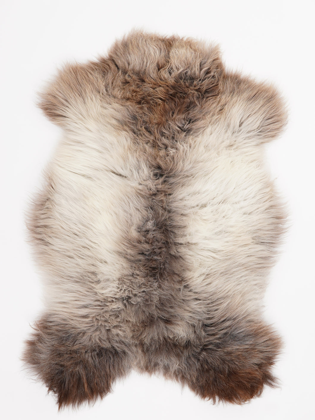 Įvairiaspalvis avikailis L