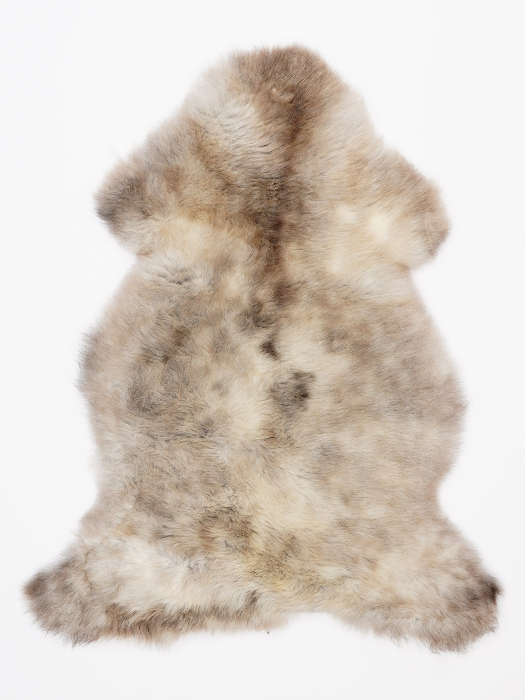 Įvairiaspalvis avikailis L