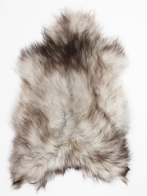 Pilkas islandiškas avikailis XXL