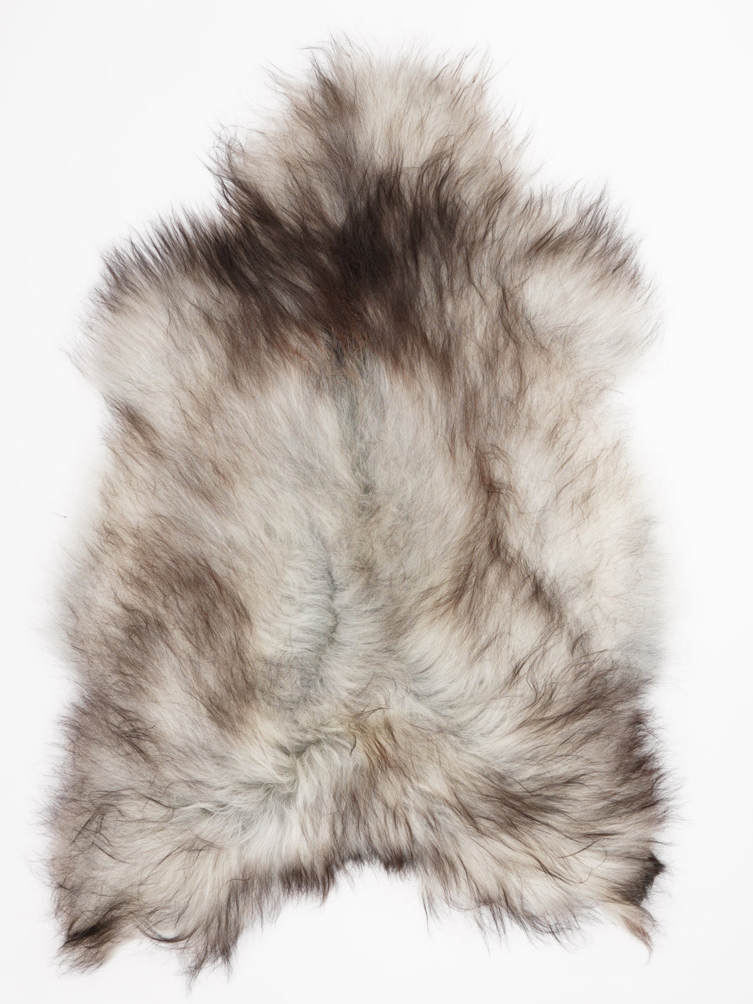 Pilkas islandiškas avikailis XXL