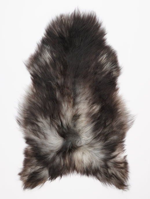 Pilkas islandiškas avikailis L