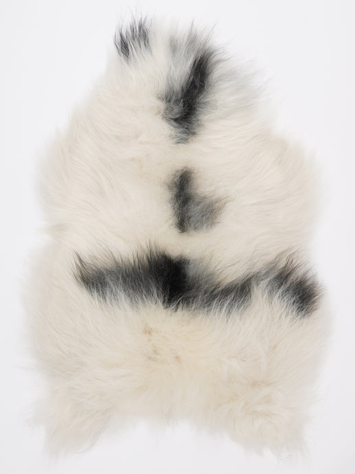 Islandiškas avikailis L