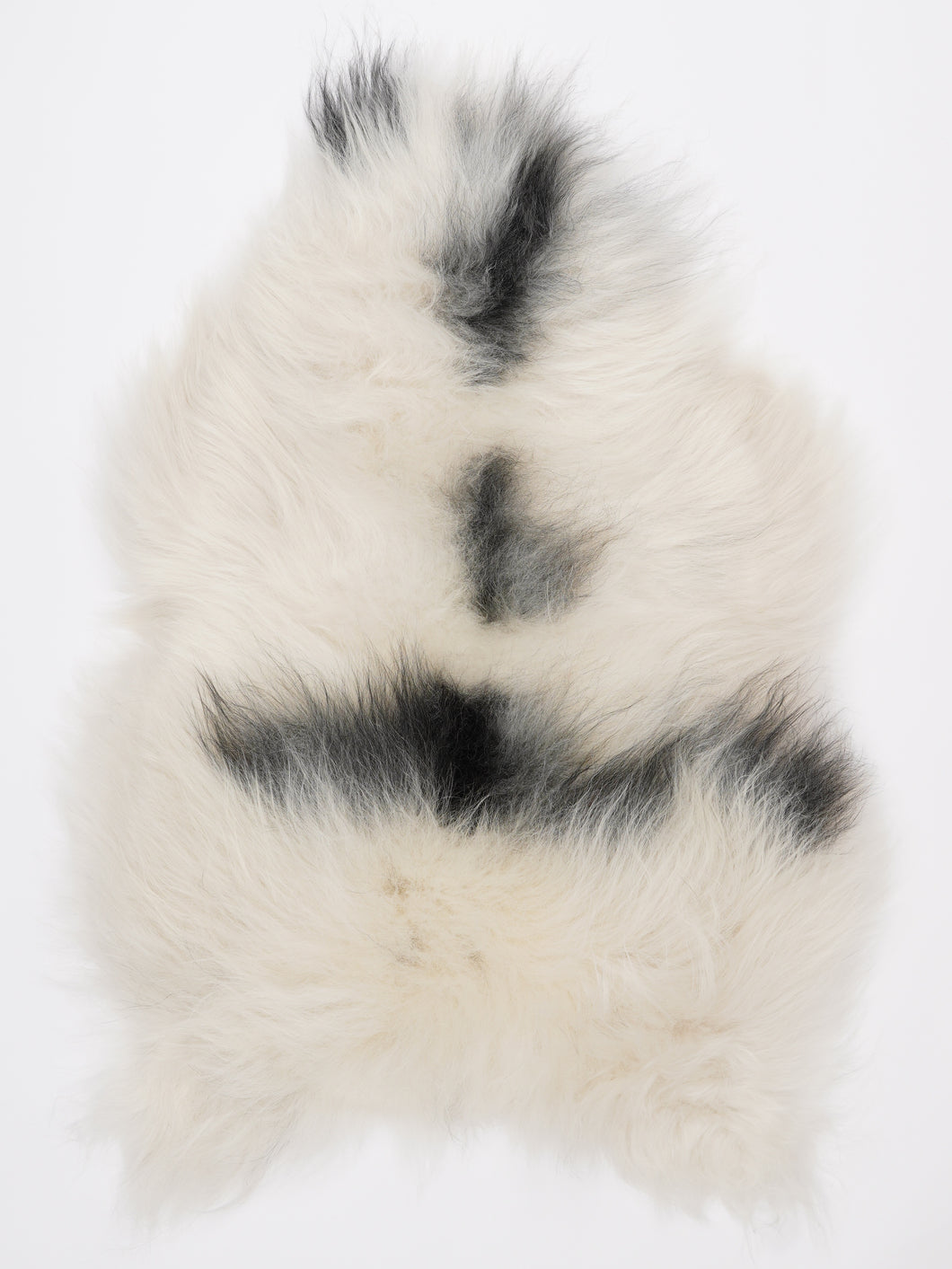 Islandiškas avikailis L