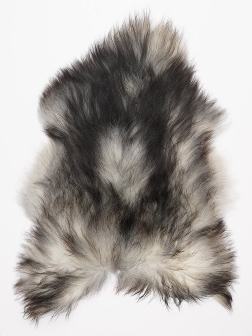 Pilkas islandiškas avikailis L