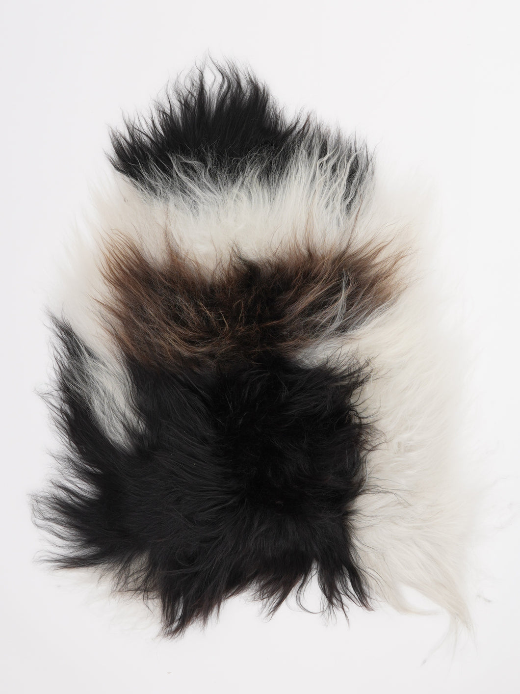 Islandiškas avikailis S