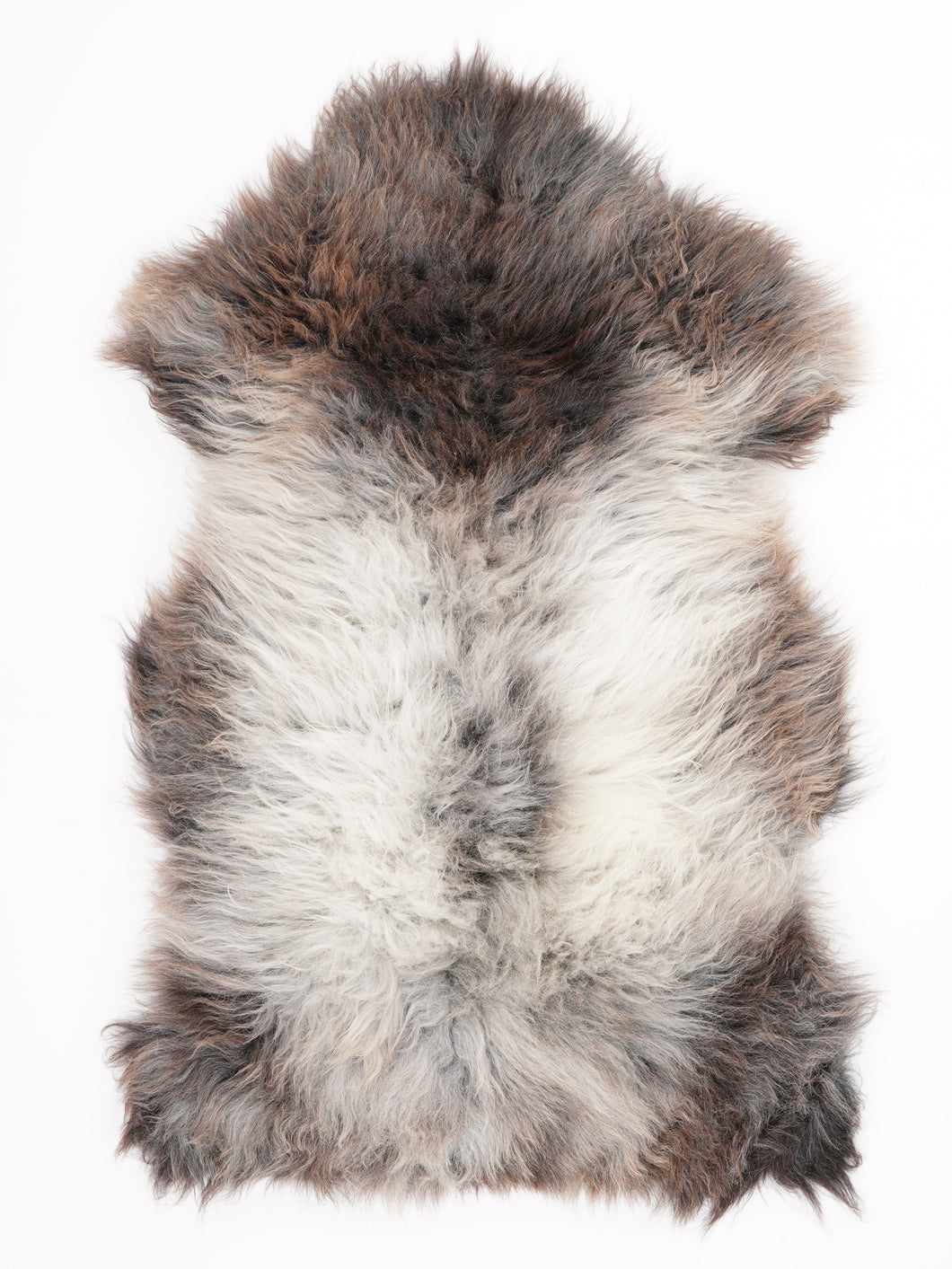 Įvairiaspalvis avikailis L