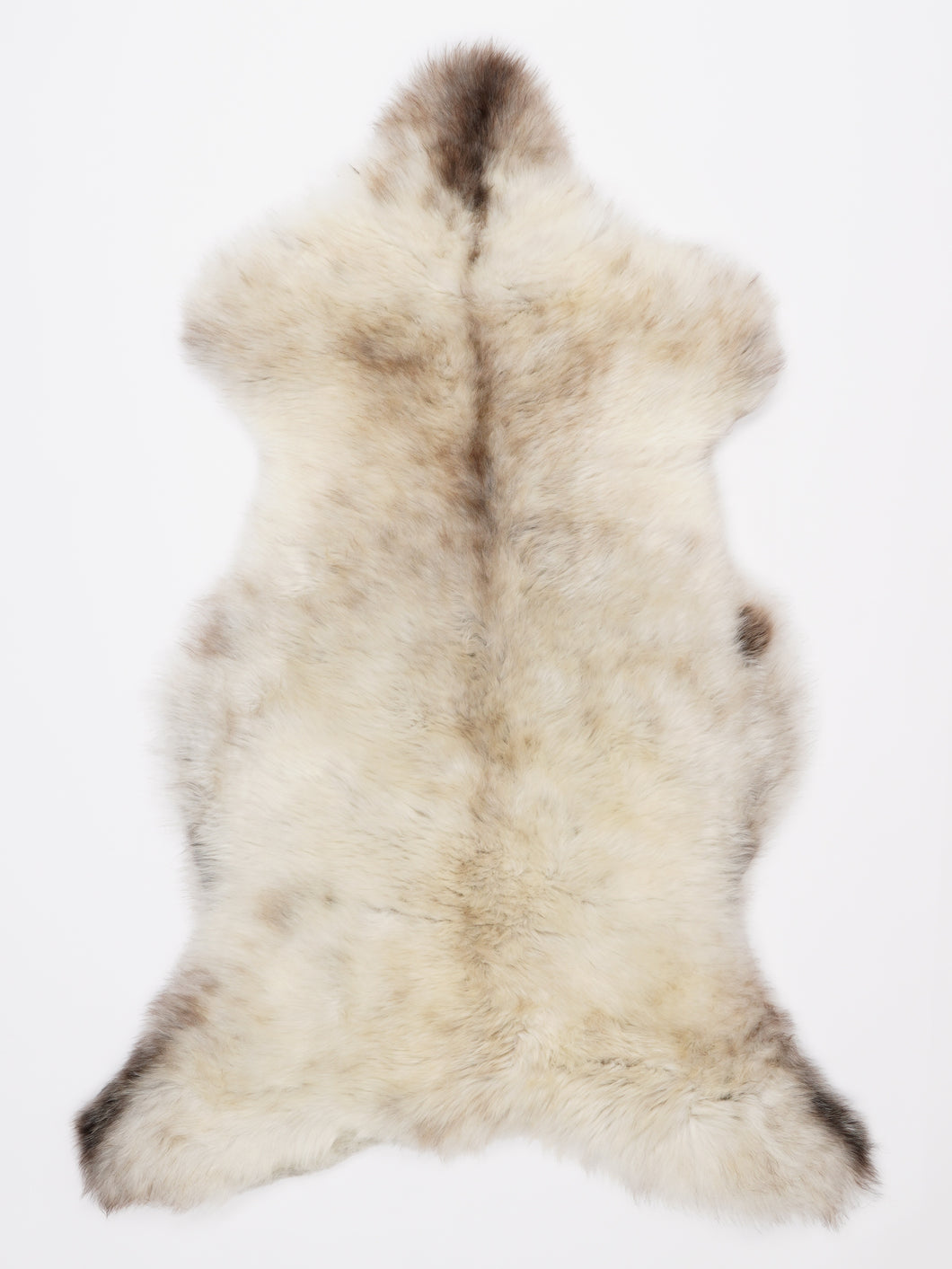 Įvairiaspalvis avikailis XL