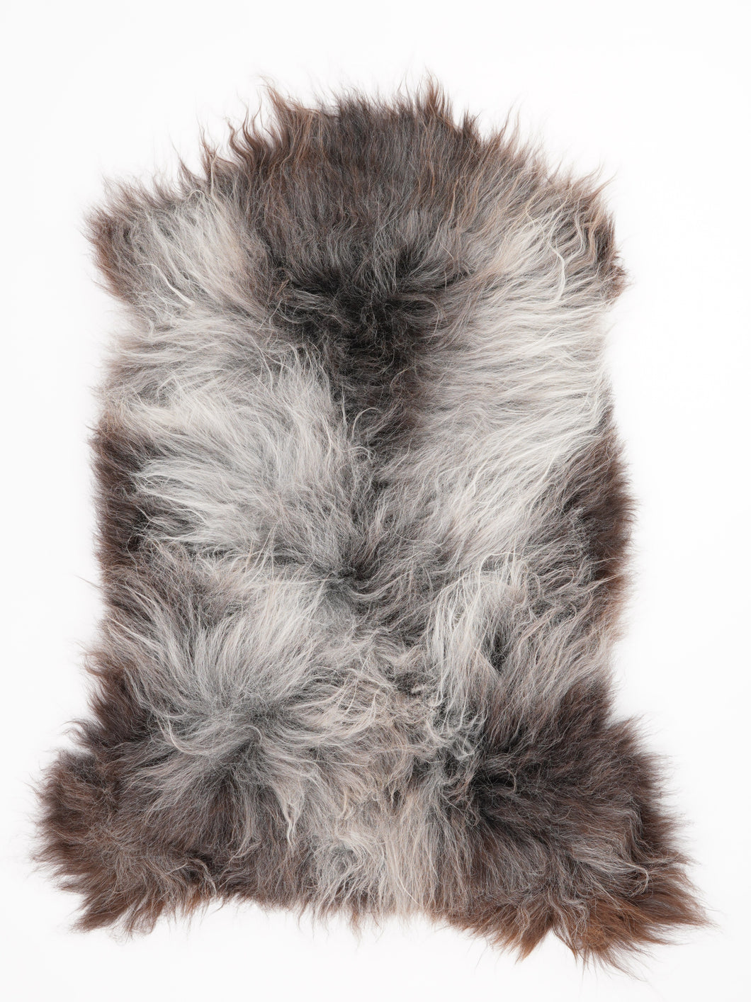 Įvairiaspalvis avikailis L