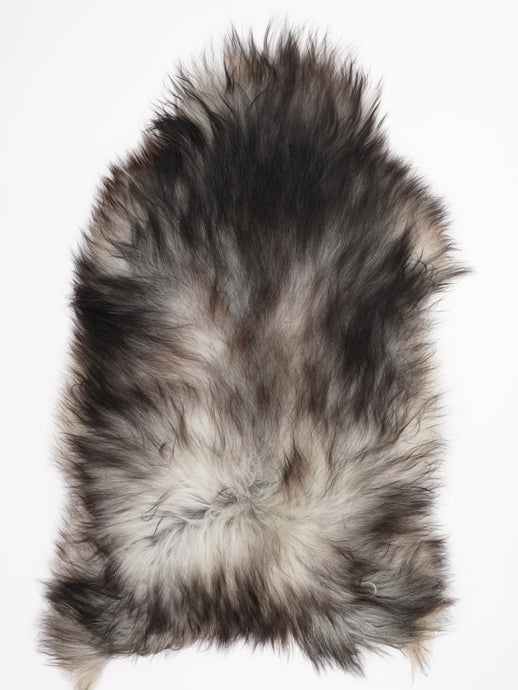 Pilkas islandiškas avikailis XXXL