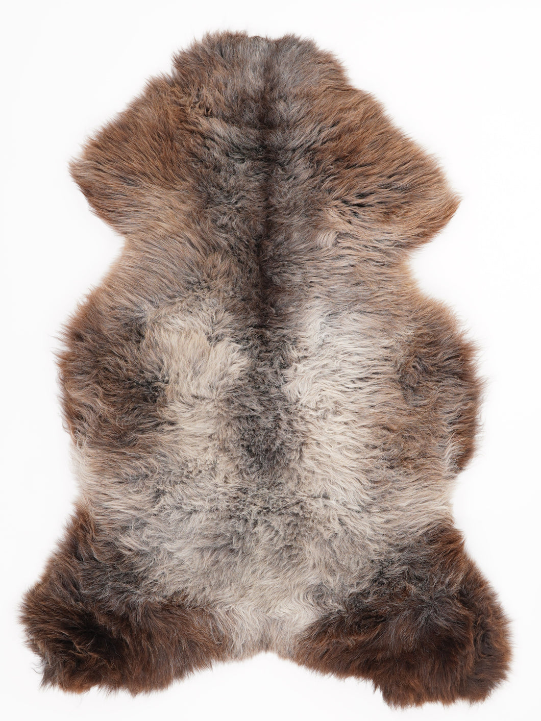 Įvairiaspalvis avikailis XL