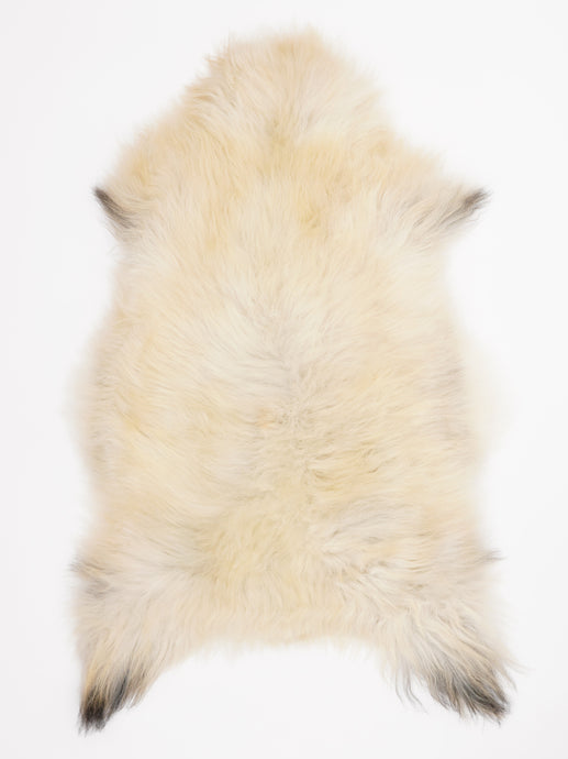 Islandiškas avikailis XL