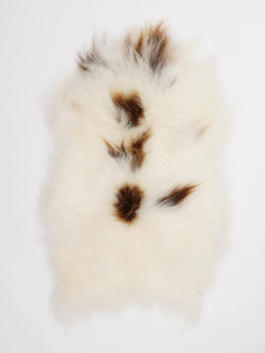 Islandiškas avikailis M