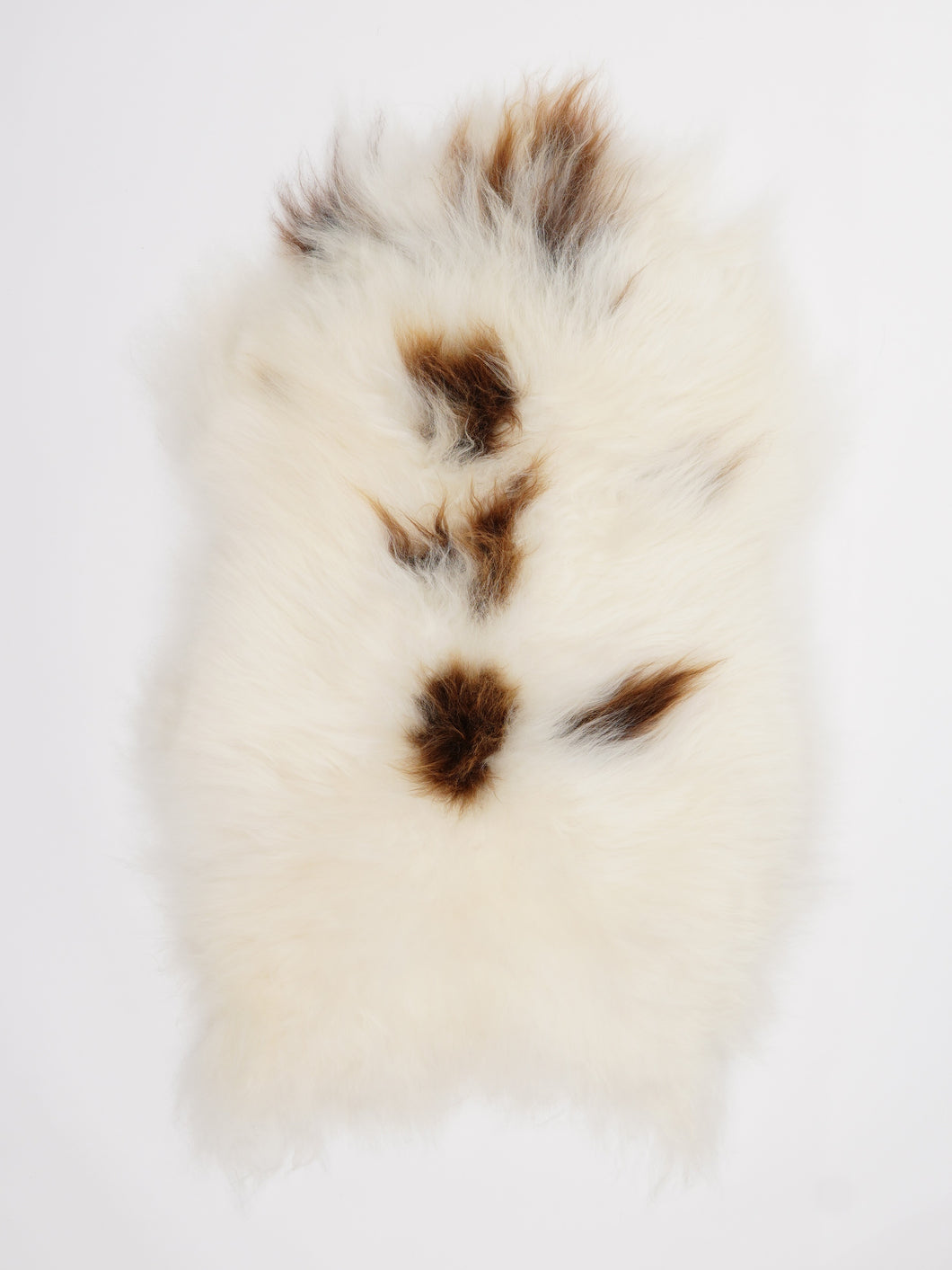 Islandiškas avikailis M