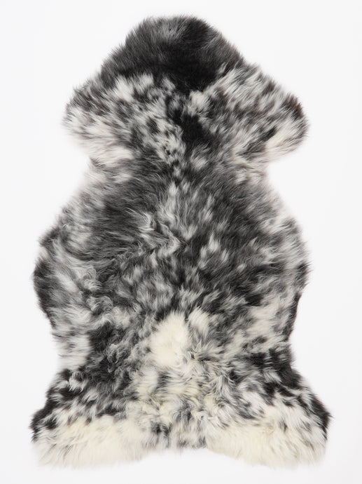 Įvairiaspalvis avikailis XL