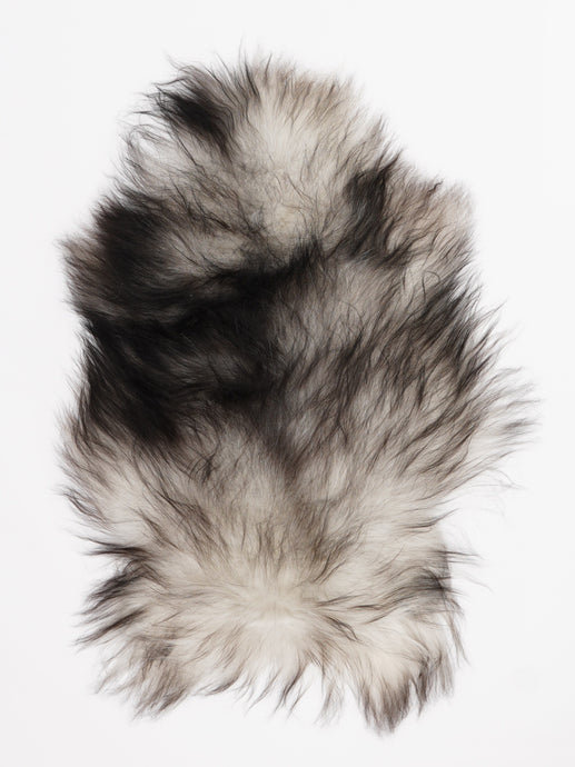 Pilkas islandiškas avikailis S