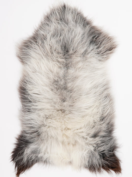 Įvairiaspalvis avikailis XL