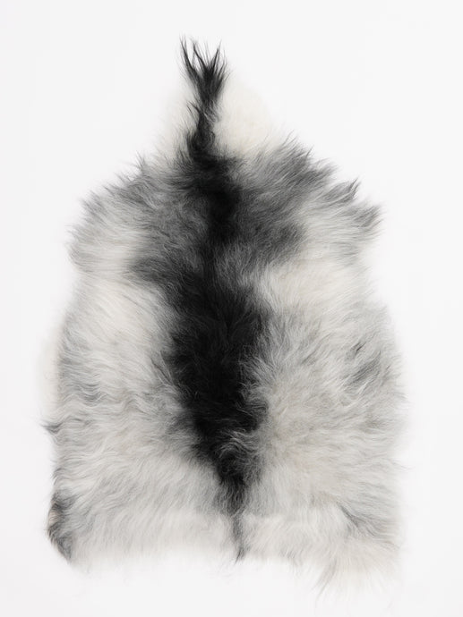 Islandiškas avikailis S