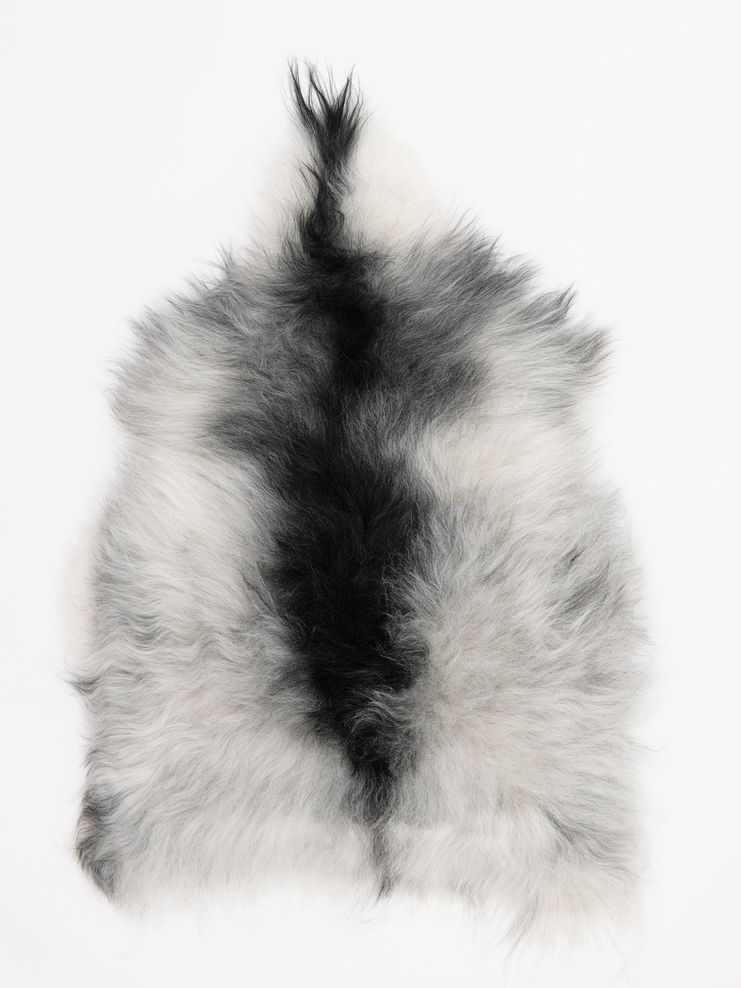 Islandiškas avikailis S