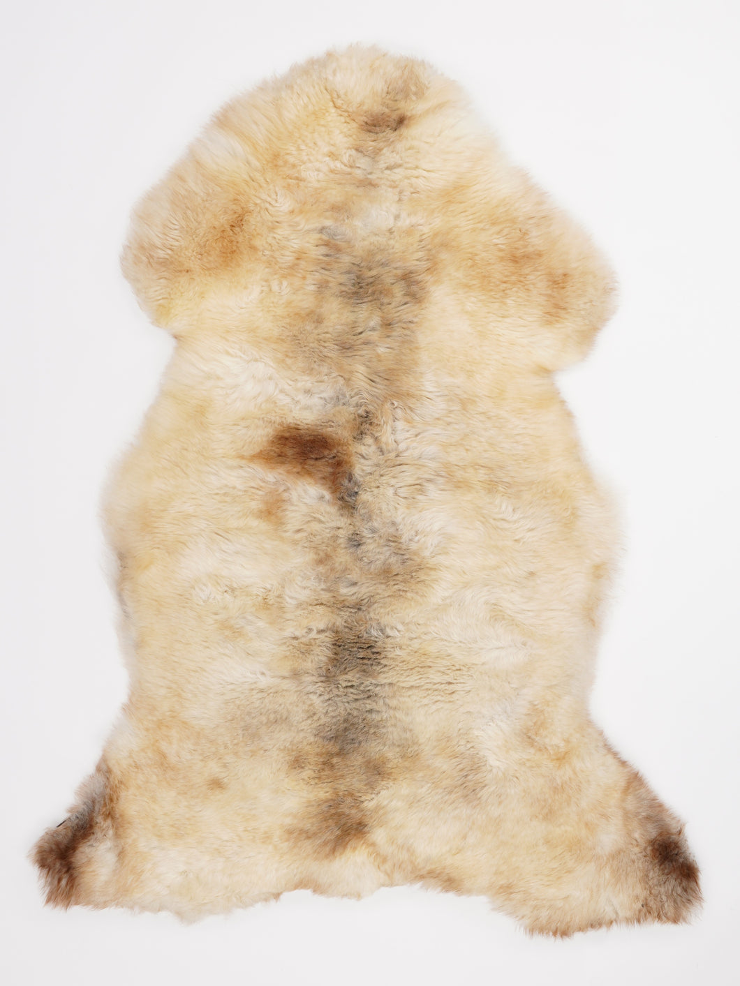 Įvairiaspalvis avikailis XL