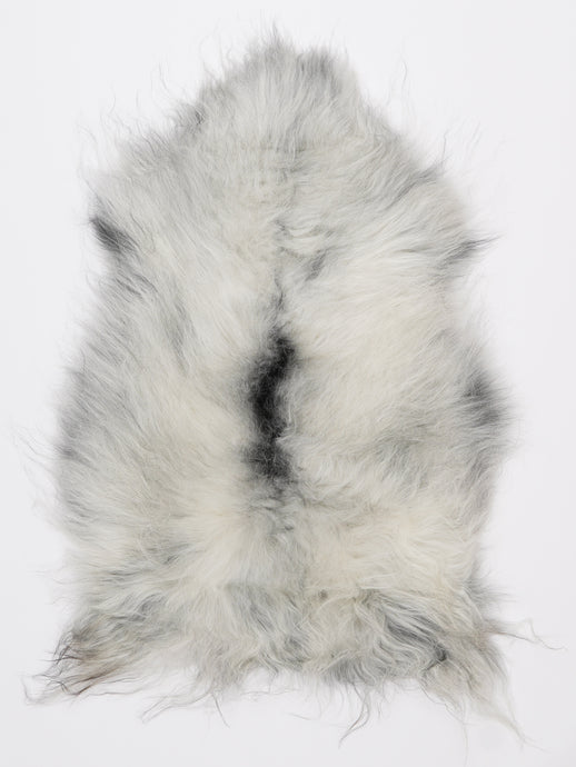 Islandiškas avikailis M