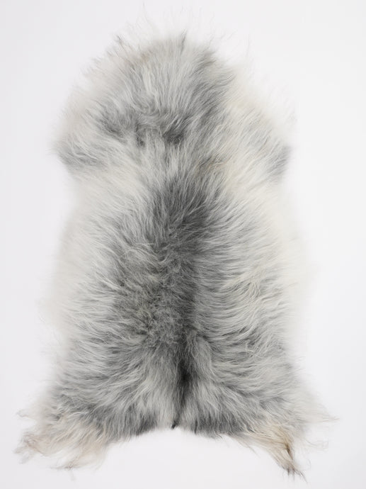 Pilkas islandiškas avikailis XL