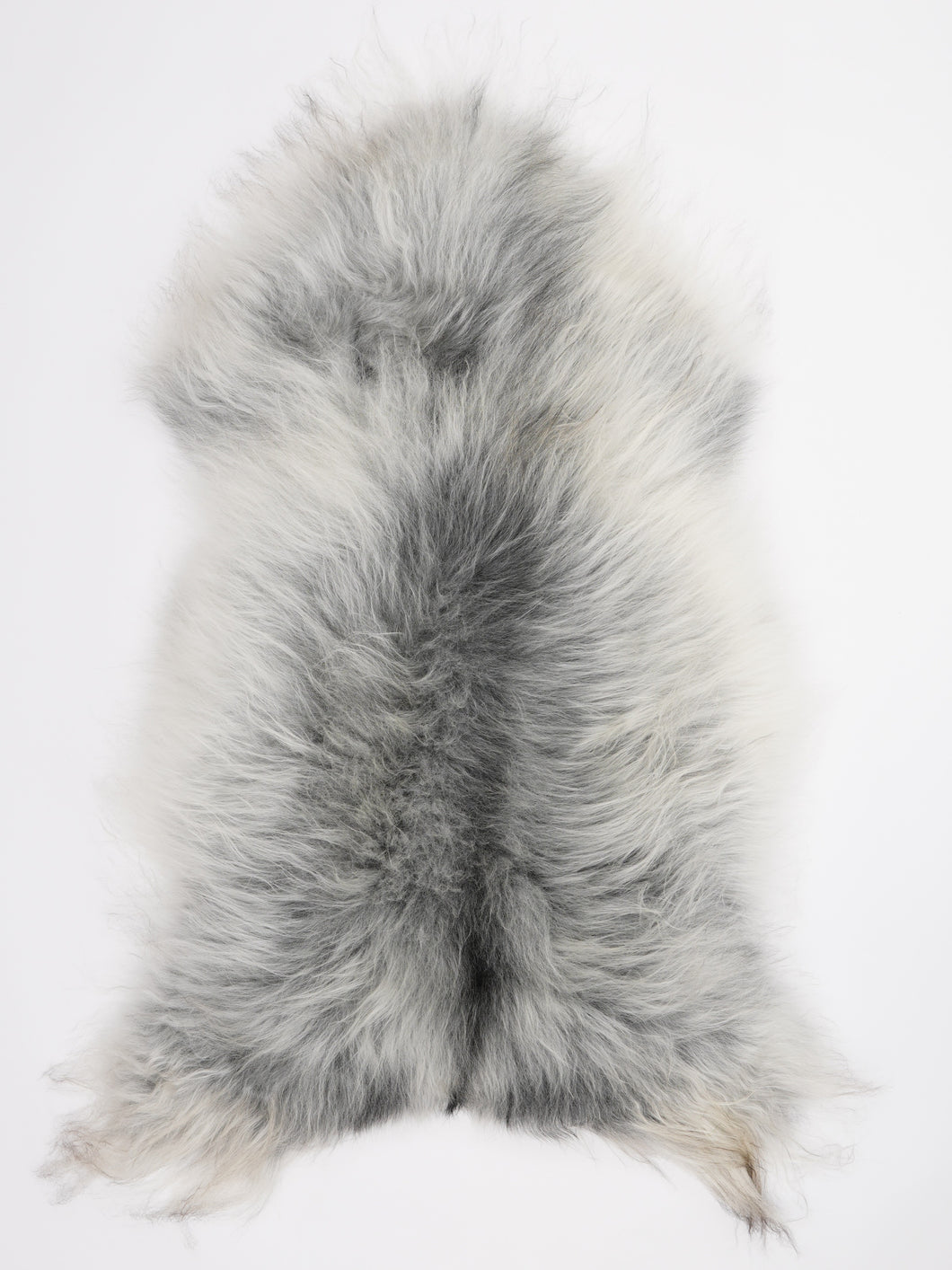 Pilkas islandiškas avikailis XL