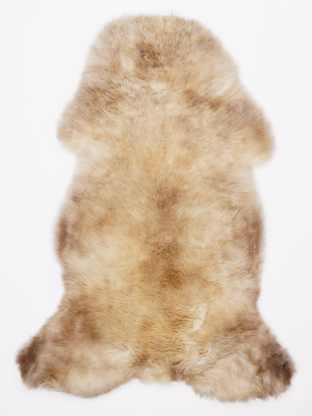 Įvairiaspalvis avikailis L