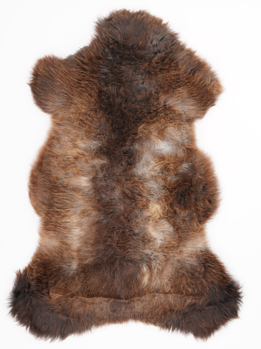 Įvairiaspalvis avikailis L