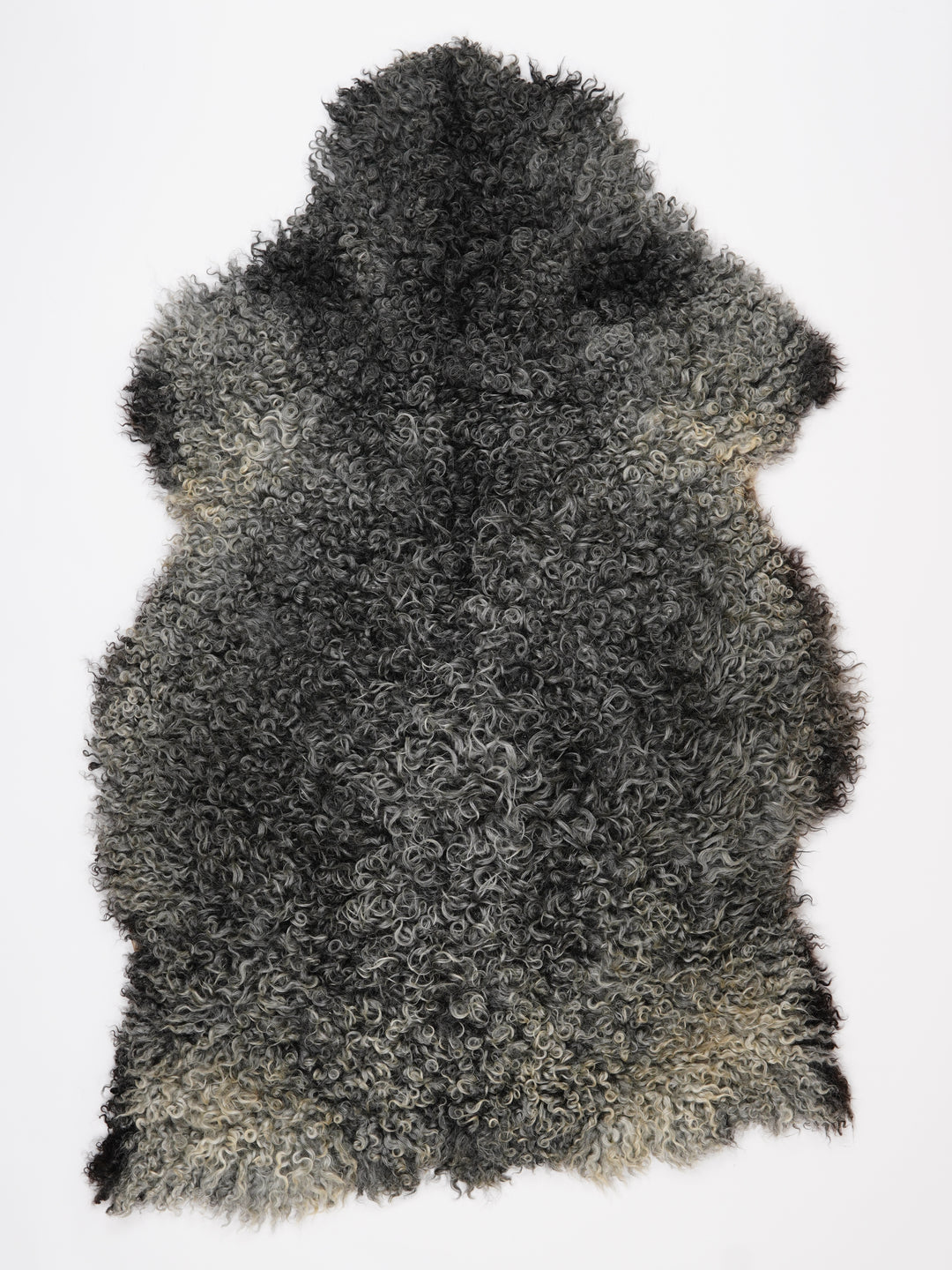 Gotlando avikailis XXL