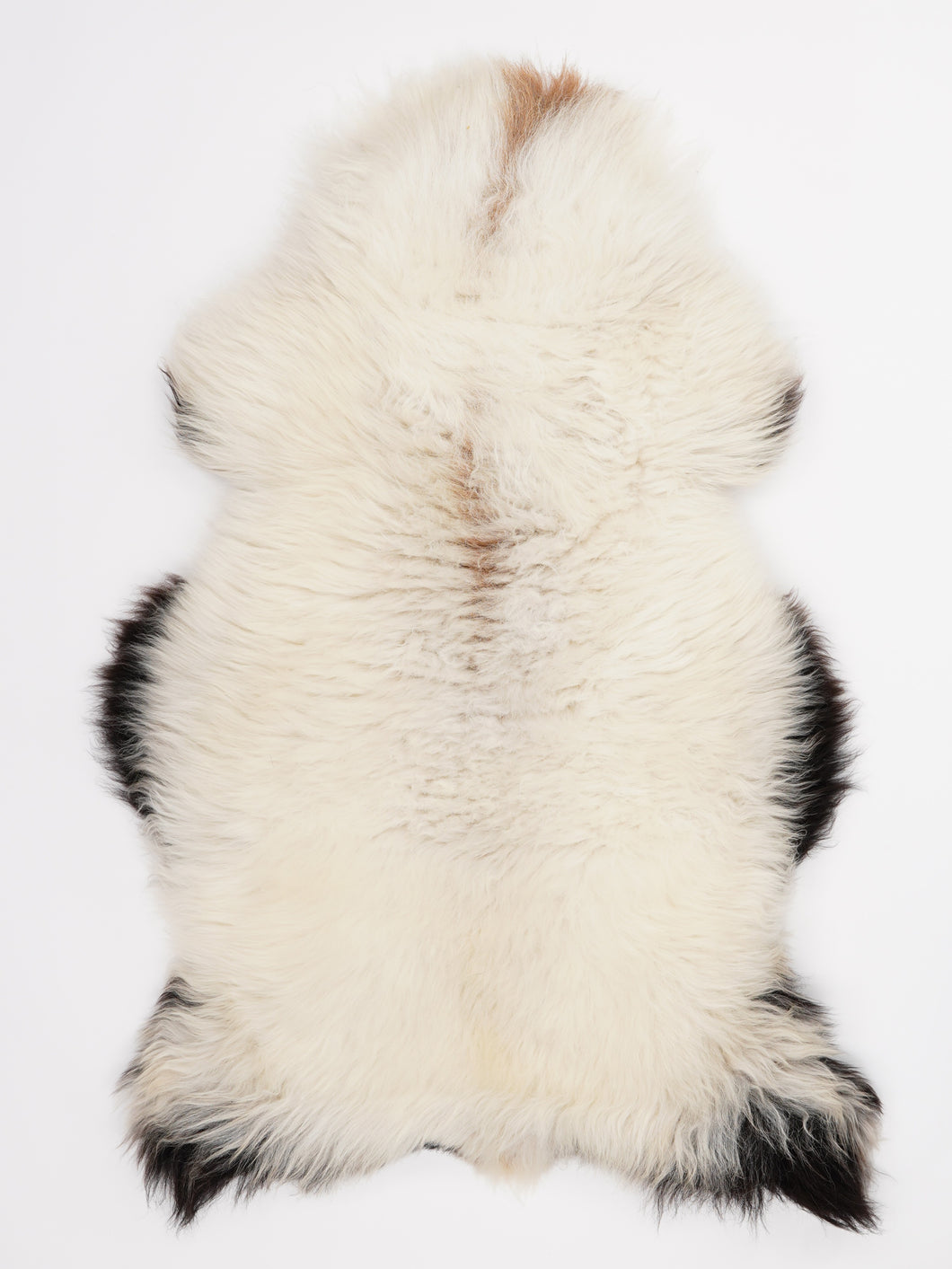 Įvairiaspalvis avikailis L