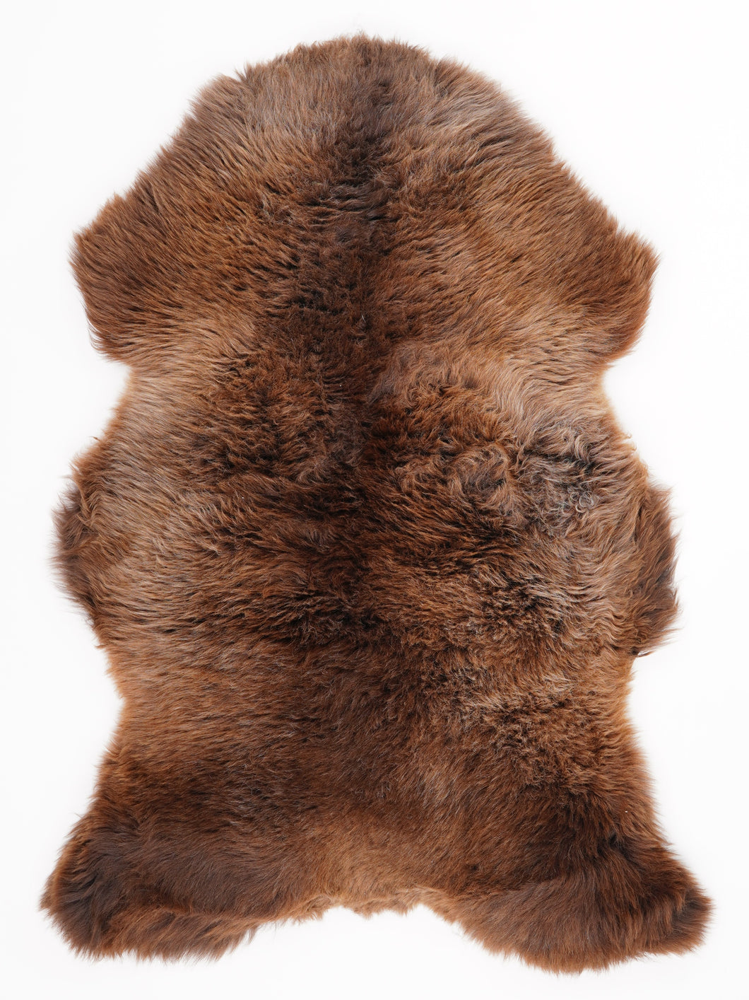 Įvairiaspalvis avikailis L