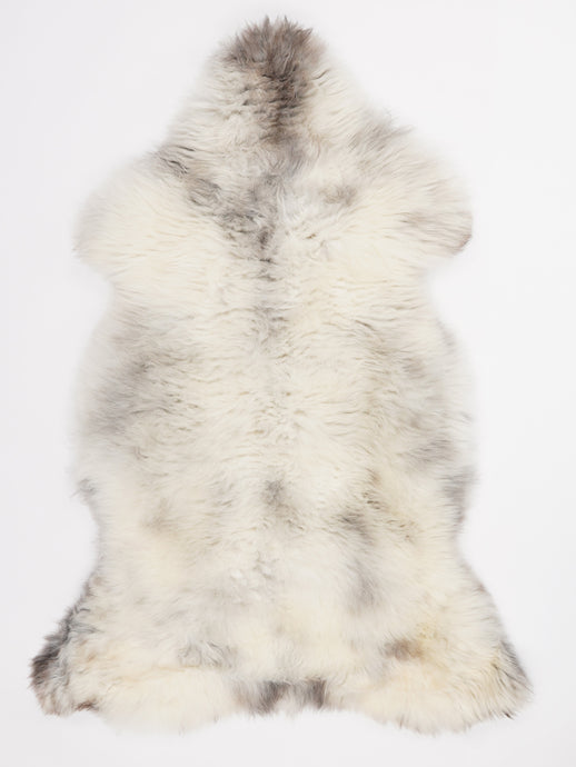 Įvairiaspalvis avikailis XL