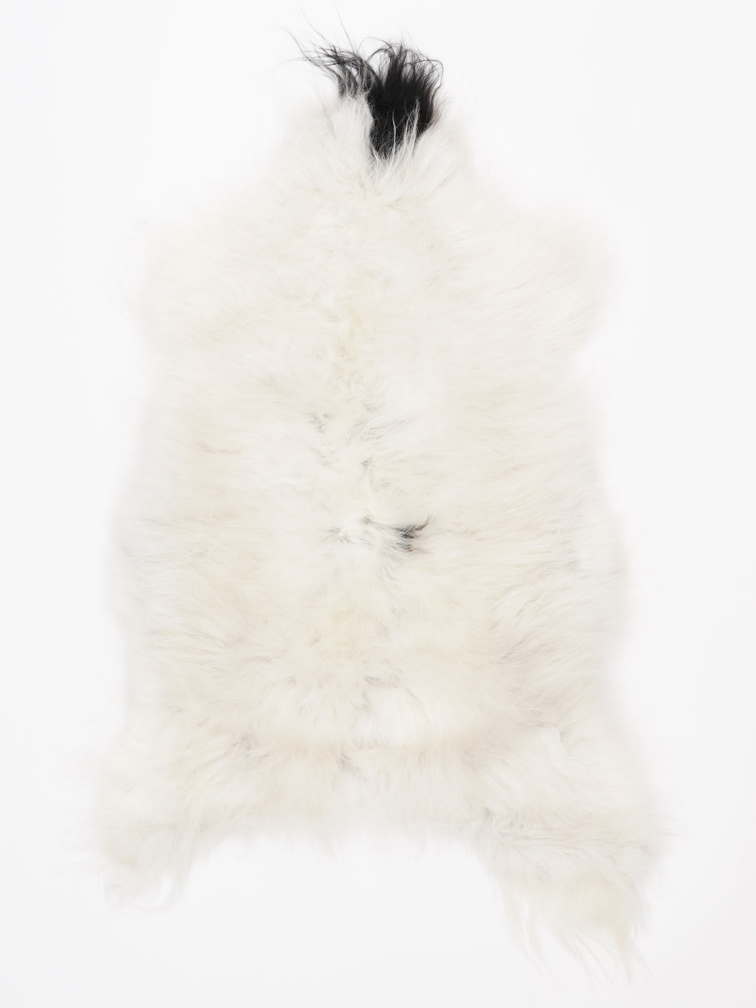 Islandiškas avikailis M