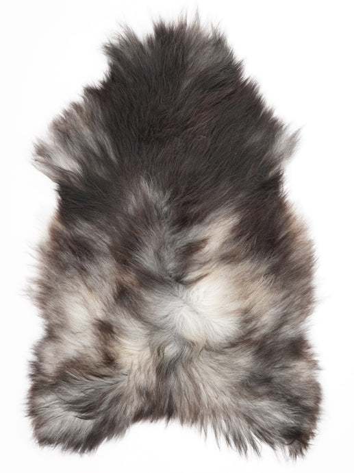 Pilkas islandiškas avikailis XXL