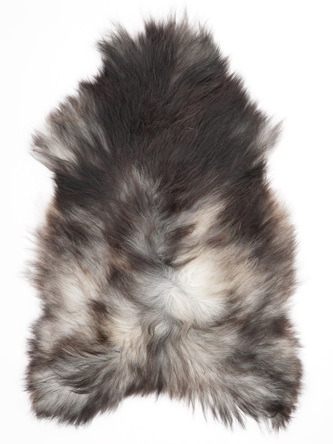 Pilkas islandiškas avikailis XXL