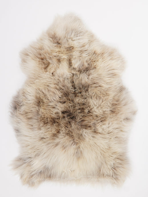 Įvairiaspalvis avikailis L