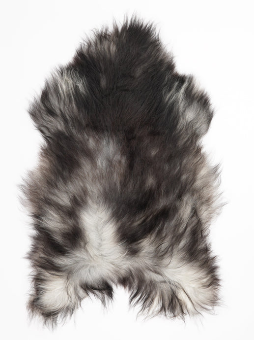 Pilkas islandiškas avikailis XL