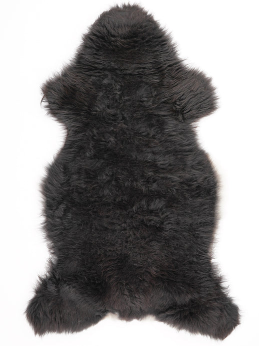 Įvairiaspalvis avikailis XL