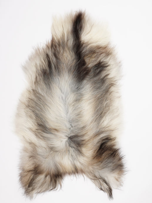 Pilkas islandiškas avikailis XL