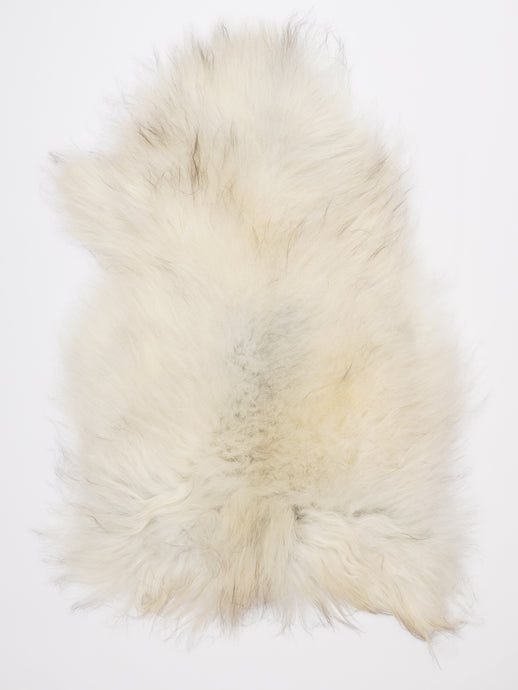 Islandiškas avikailis L