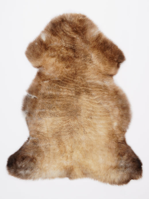 Įvairiaspalvis avikailis L