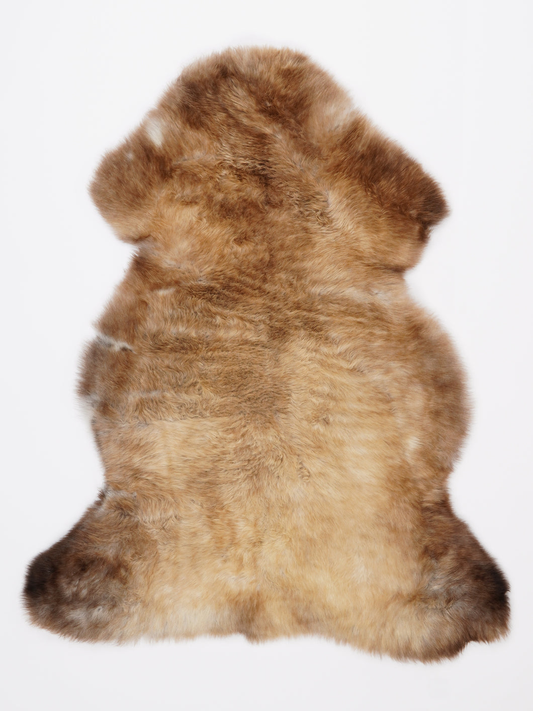 Įvairiaspalvis avikailis L