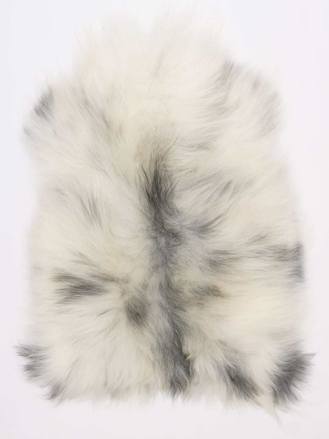 Islandiškas avikailis L