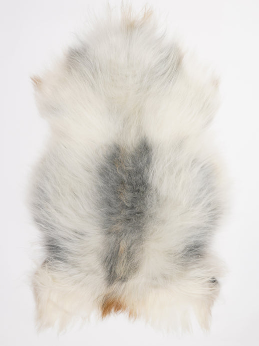 Islandiškas avikailis XL