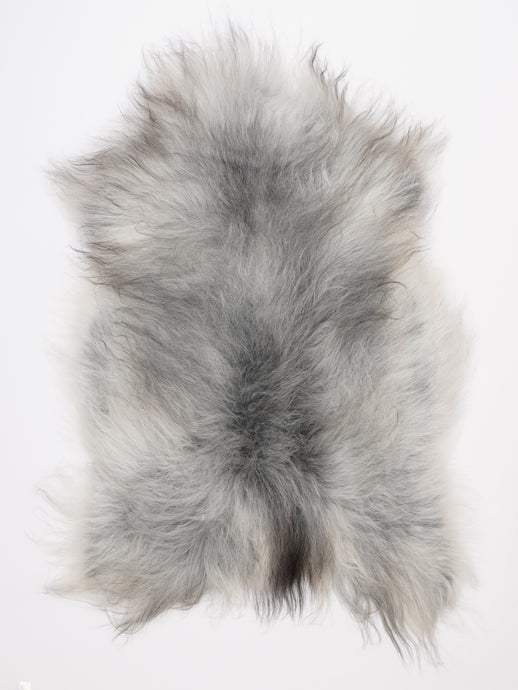 Islandiškas avikailis XL