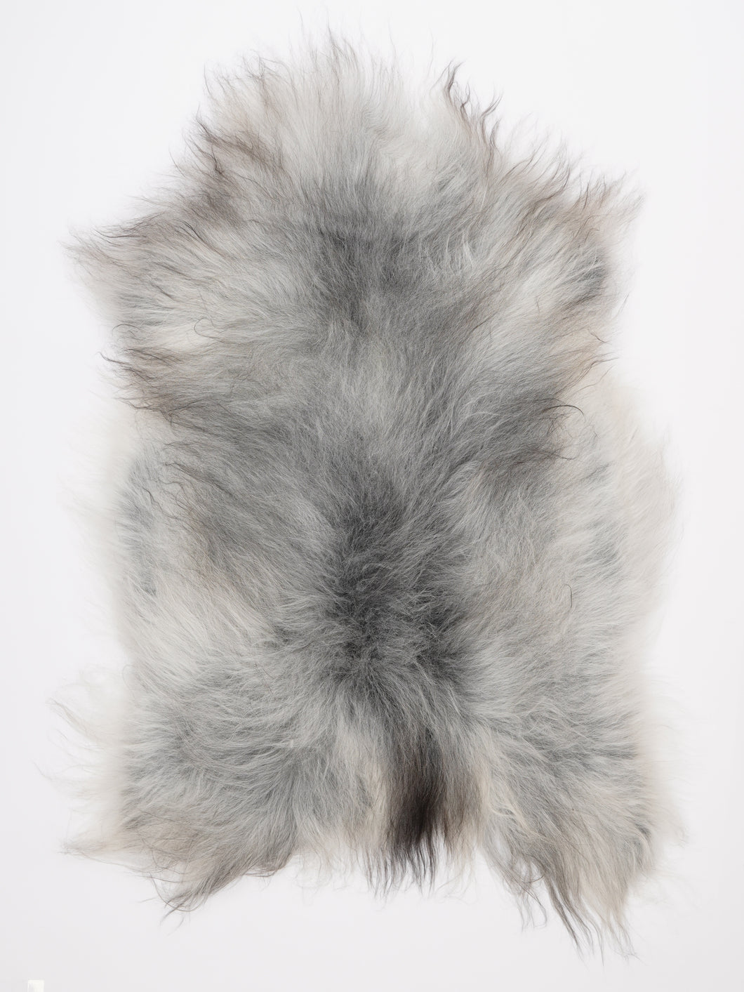 Islandiškas avikailis XL